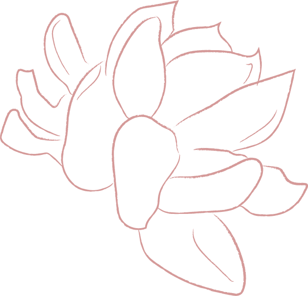 Política de Privacidade 4 elements line drawing white jasmine flower illustrations FF57E82 2020 06 29 1