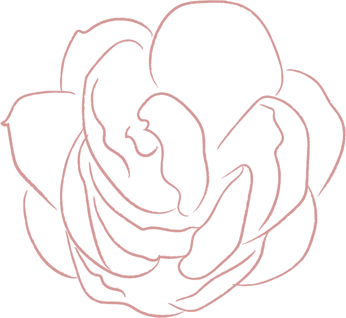 elements line drawing white jasmine flower illustrations FF57E82 2020 06 29 2